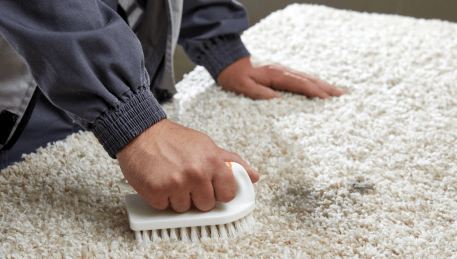 Professional Rug Cleaning Burwood